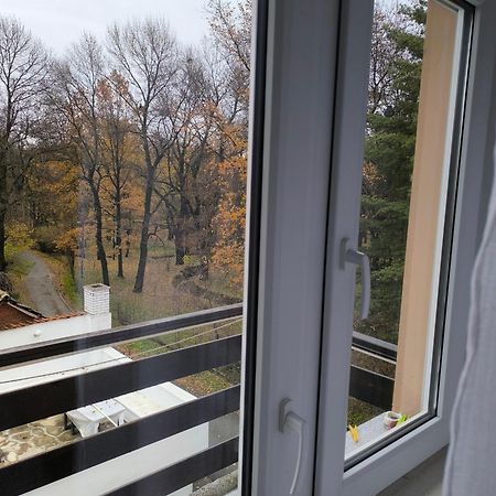 Guest House Major Arandjelovac Esterno foto